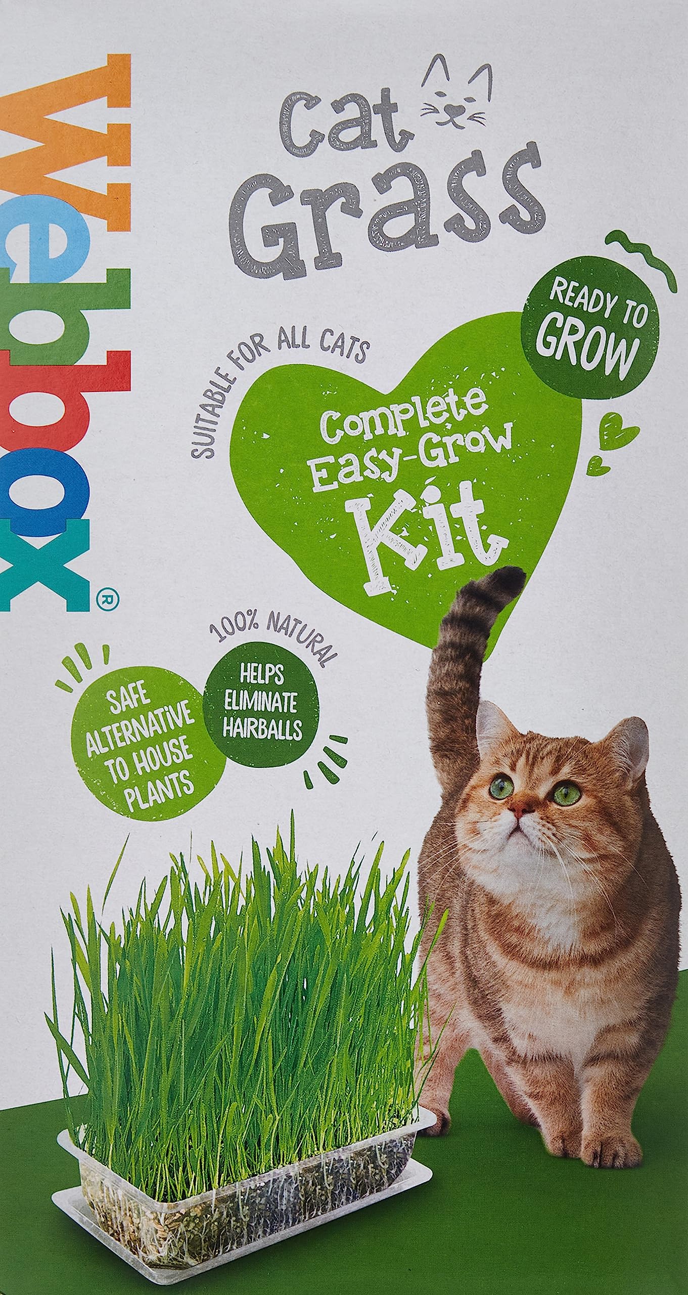 Webbox Cat Grass Complete Easy Grow Kit 120g